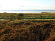 Ferienwohnung Nordsee-Blick Sahlenburg